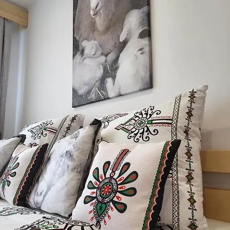 Apartament Owczy Dwor ザコパネ