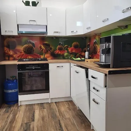 Apartament Owczy Dwor アパート ザコパネ