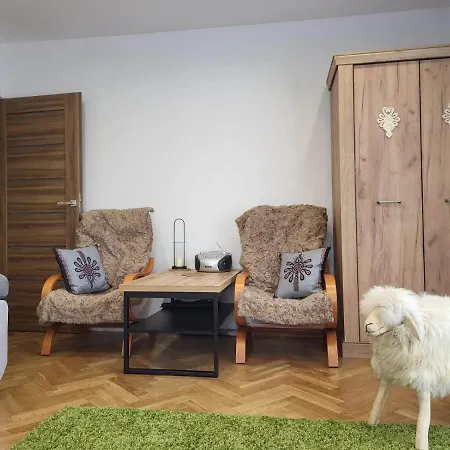 Apartament Owczy Dwor ザコパネ