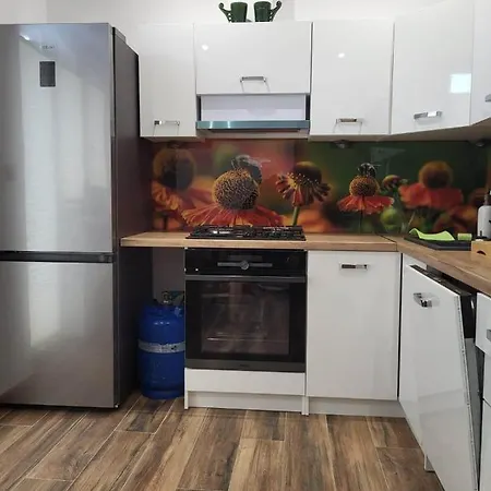 Apartament Owczy Dwor ザコパネ